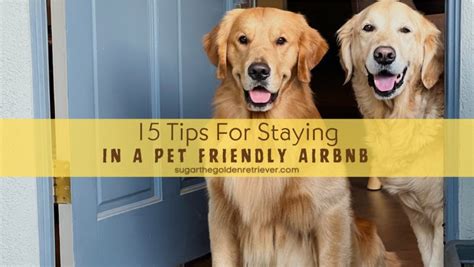 per friendly airbnb|10 Tips for Finding & Staying in a Pet